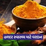 turmeric 0609