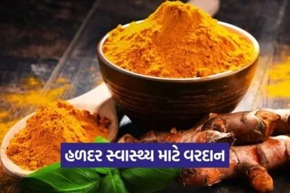 turmeric 0609