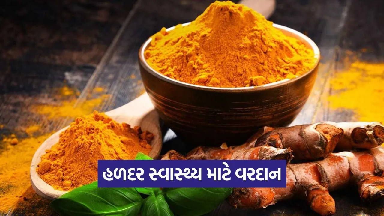 હળદર ગરમ છે કે ઠંડી? જાણો તેના સ્વાસ્થ્ય લાભો અને સેવનની સાચી રીત 22 turmeric 0609.jpg