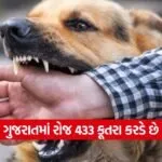 dog 0609