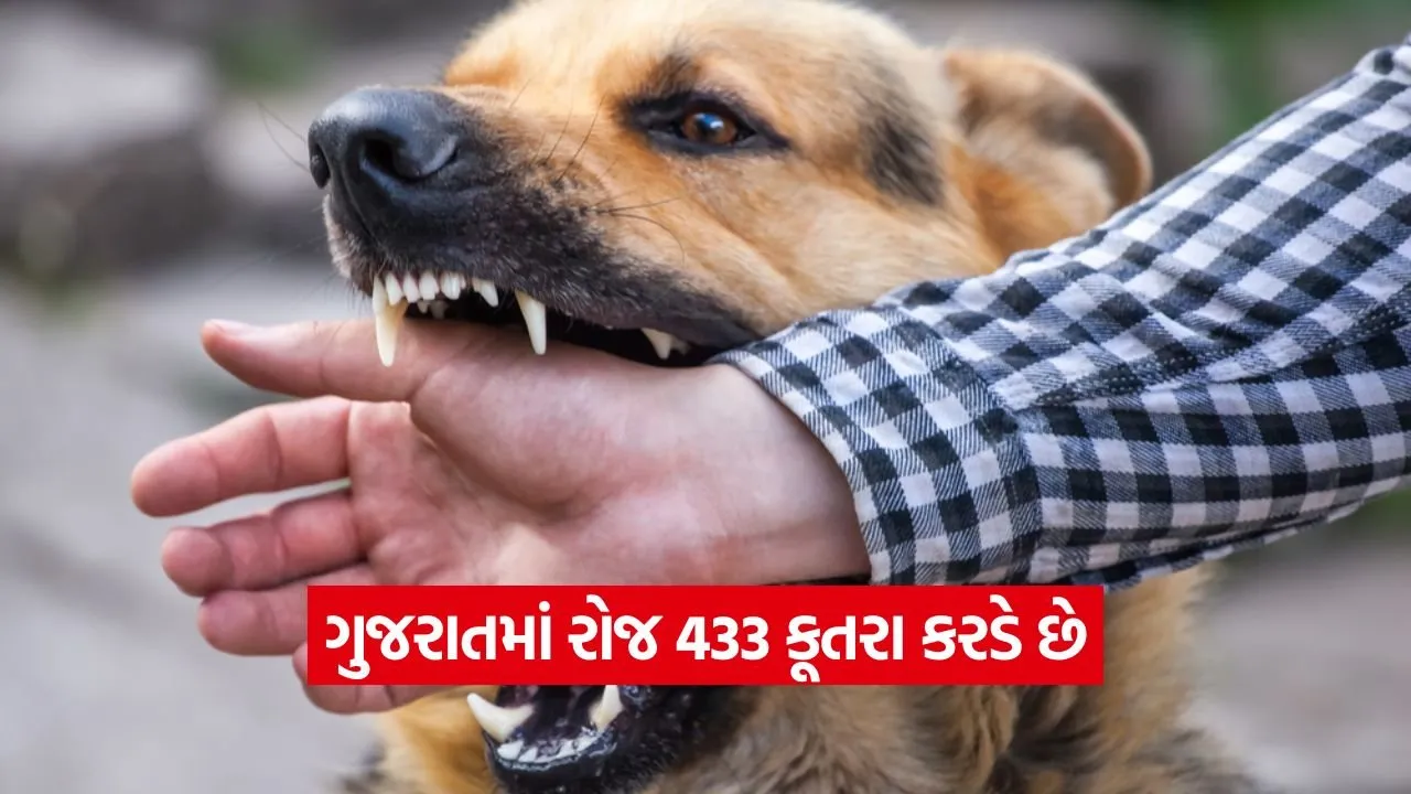 ગુજરાતનું કુતરા મોડેલ પણ છે 1 dog 0609.jpg
