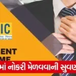 lic job