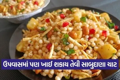 Sabudana Chaat 0709