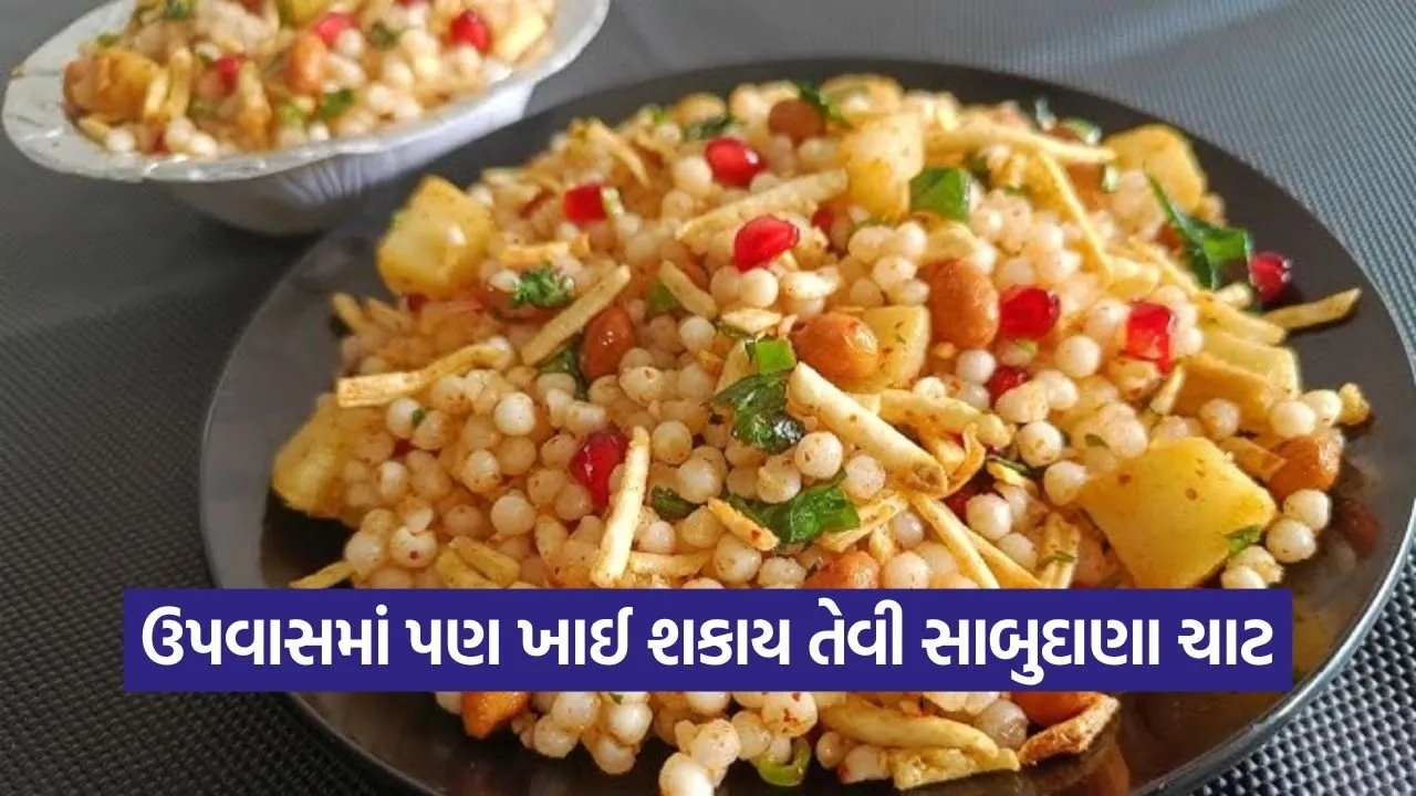 ઉપવાસમાં પણ ખાઈ શકાય તેવી ઓઇલ ફ્રી સાબુદાણા ચાટ: ફક્ત ૫ મિનિટમાં બનાવો 22 Sabudana Chaat 0709.jpg
