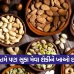dry fruit 0709 1