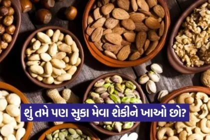 dry fruit 0709 1