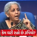 nirmala 2