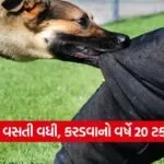 dog 0809