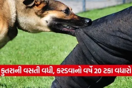 dog 0809