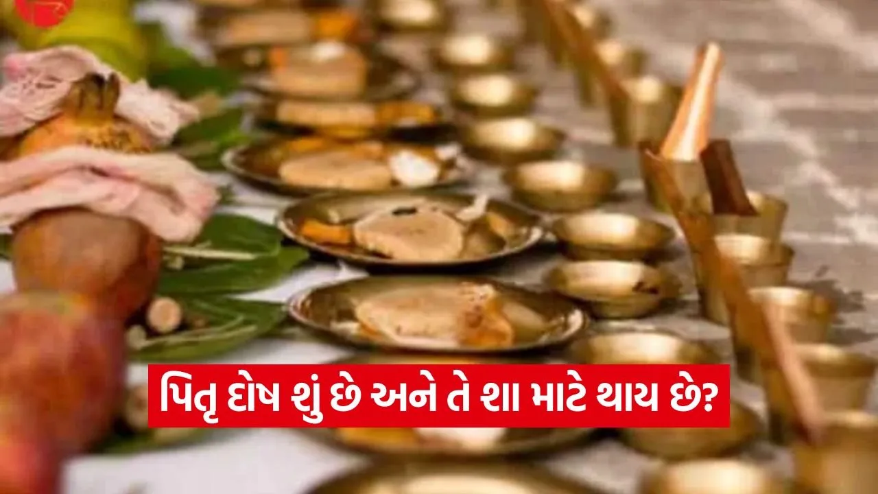 પિતૃ પક્ષ 2025: પિતૃ દોષથી મુક્તિના સરળ ઉપાયો 23 Pitru 0809.jpg