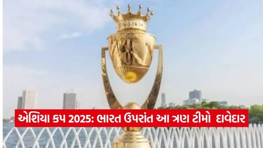 asia cup 0809