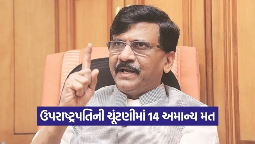 sanjay raut 1009