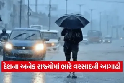 Rain 1009