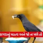 crow 1009