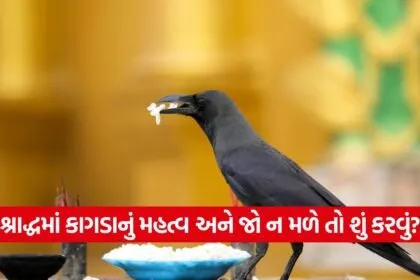 crow 1009