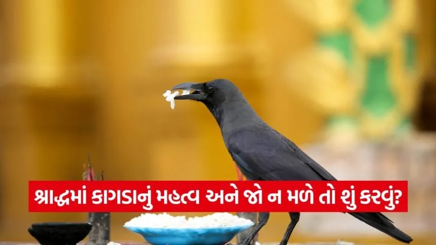 crow 1009
