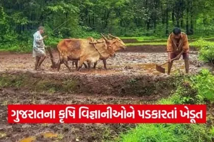Guj 1009