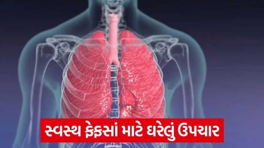 lungs
