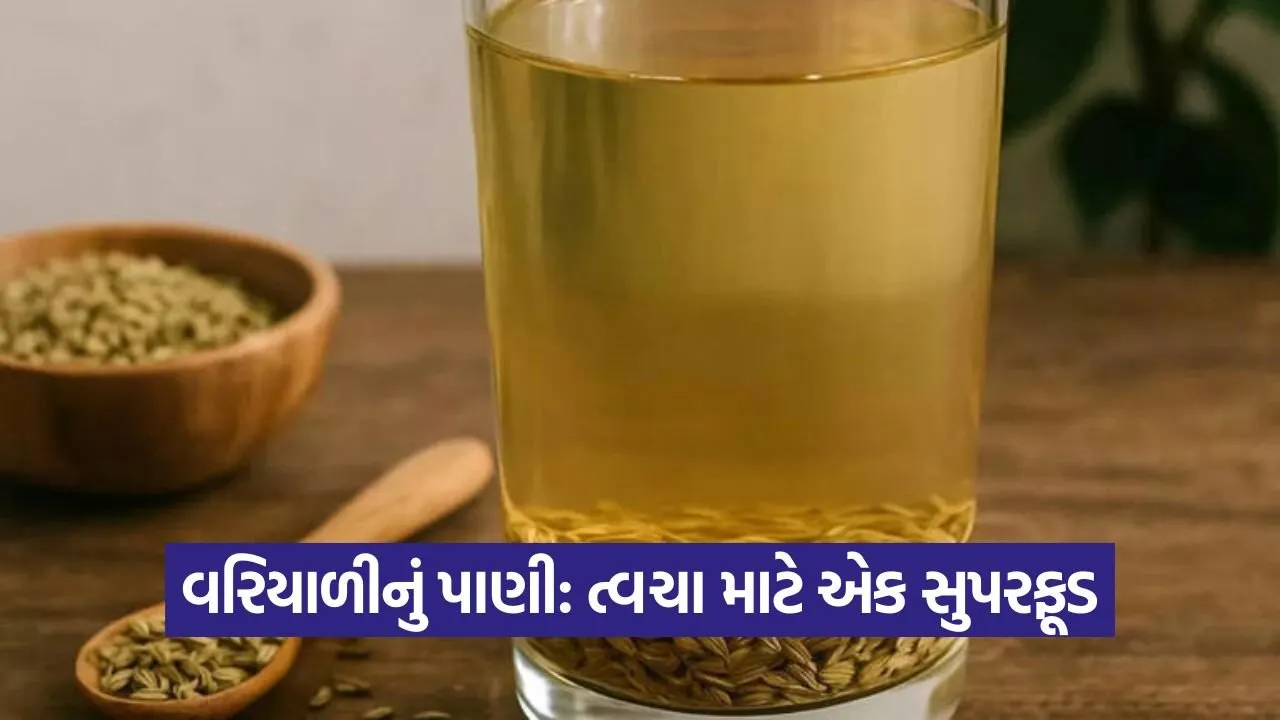 જાણો પોષક તત્વોથી ભરપૂર વરિયાળી-અજમાના પાણીના ઔષધીય ગુણો: આંતરડાના સ્વાસ્થ્ય અને બ્લડ સુગર નિયંત્રણમાં સુધારો 49 fennel seed water.jpg