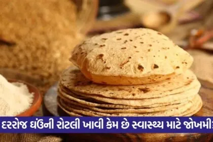 roti