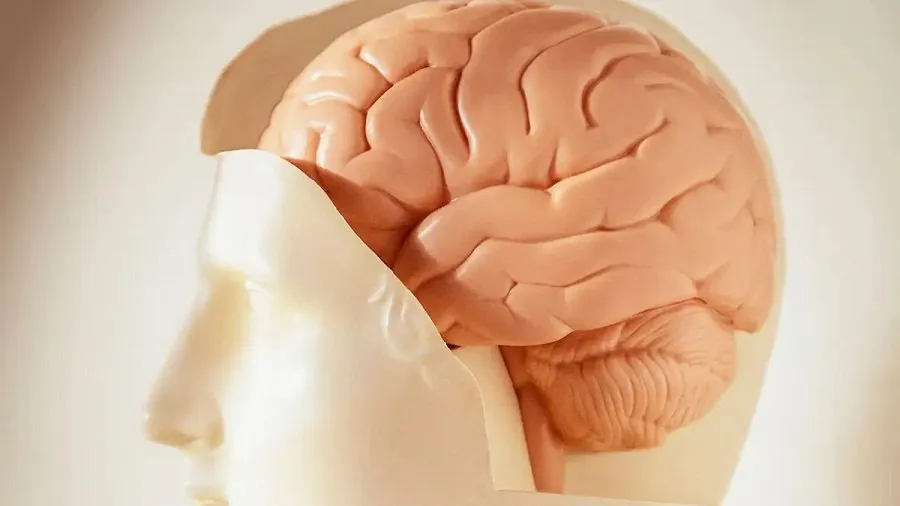 આત્મહત્યા કરતા પહેલાં વ્યક્તિ શું વિચારે છે? એમ્સનું 'બ્રેન બાયો બેંક' પ્રોજેક્ટથી મળશે મદદ 2 mahj.jpg