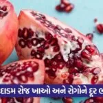 pomrgranate 13