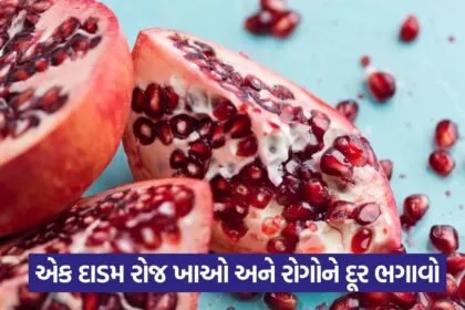 pomrgranate 13