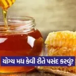 Honey 1109