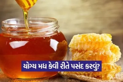 Honey 1109