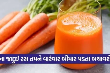 Carrot Juice 1209