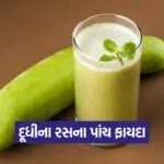 juice 1309