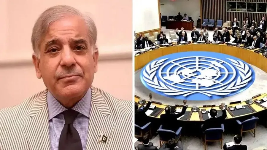 આતંકવાદને લઈને UNSC માં હંગામો: ઈઝરાયેલ અને પાકિસ્તાન આમને-સામને 2 pakistan.jpg