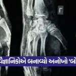 bone glue 1309