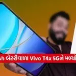 vivo3