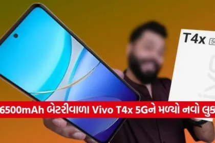 vivo3