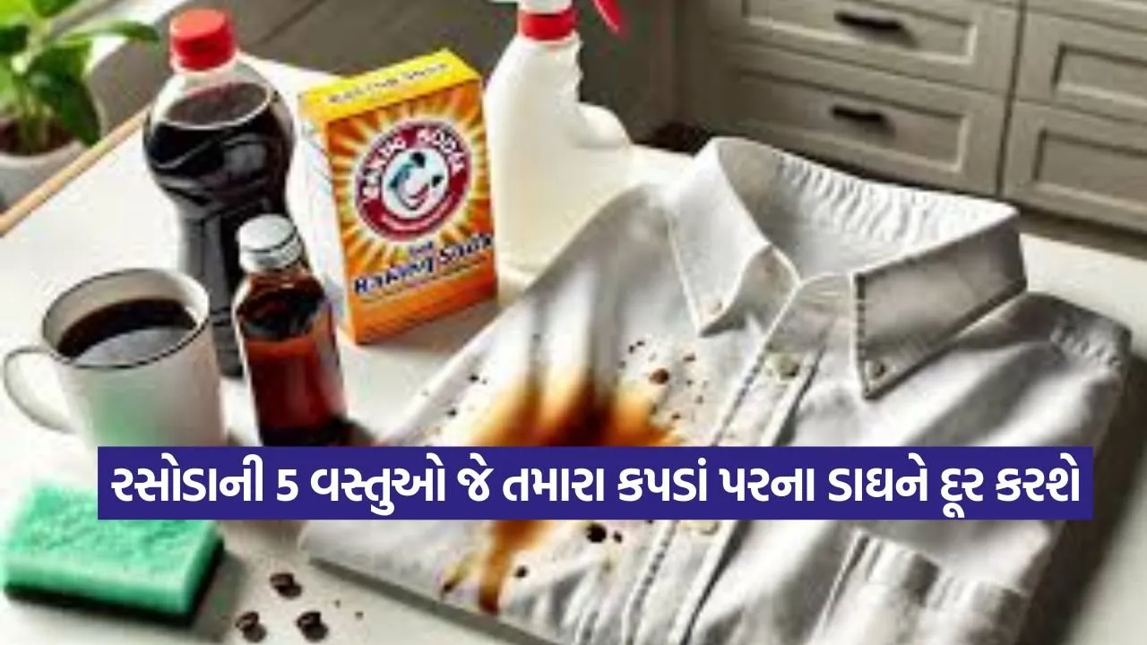 ડાઘ હટાવવા માટે ઘસવાની જરૂર નથી! આ 3 ટિપ્સથી કપડાં પરના જિદ્દી ડાઘ સરળતાથી કાઢો 22 colth.jpg
