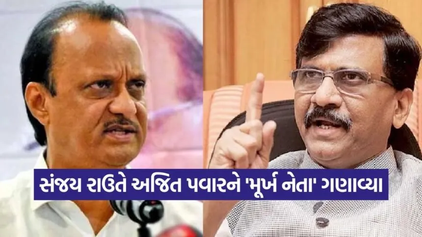 Sanjay Raut 1509