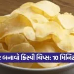 chips 1509