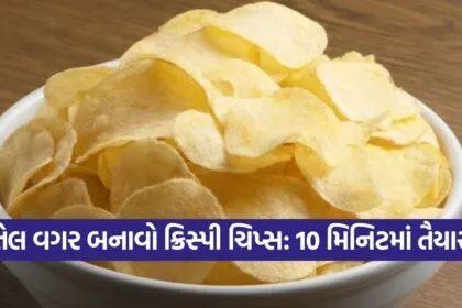 chips 1509