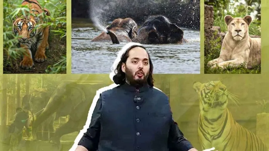 અનંત અંબાણીના વનતારાને સુપ્રીમ કોર્ટની ક્લીન ચીટ: વિવાદોનો અંત, જાણો શું કહ્યું SITએ? 2 court 1.jpg