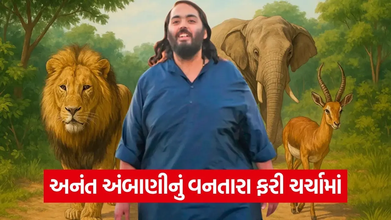 અનંત અંબાણીના વનતારાને સુપ્રીમ કોર્ટની ક્લીન ચીટ: વિવાદોનો અંત, જાણો શું કહ્યું SITએ? 20 anat abni.jpg