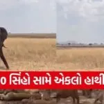 hathi