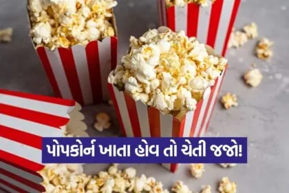 Popcorn 1509