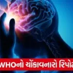 brain