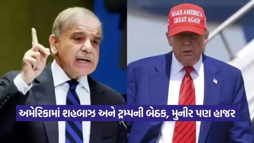 trump and munir