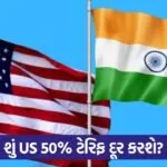 india flag and america flag
