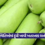 dudhi