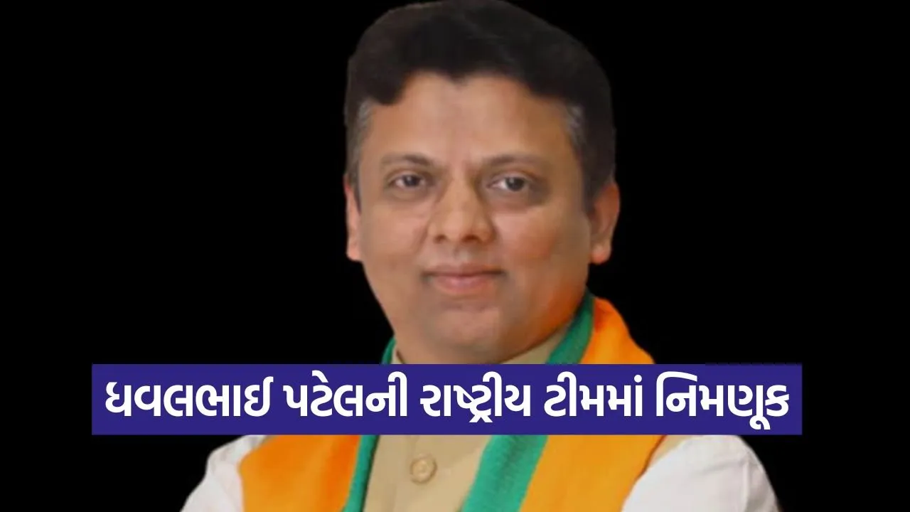 વલસાડ-ડાંગના સાંસદ ધવલ પટેલને પક્ષે સોંપી મોટી જવાબદારી, 7 રાજ્યના પ્રભારી તરીકેની નિમણૂક 13 Dhawalbhai 1809.jpg