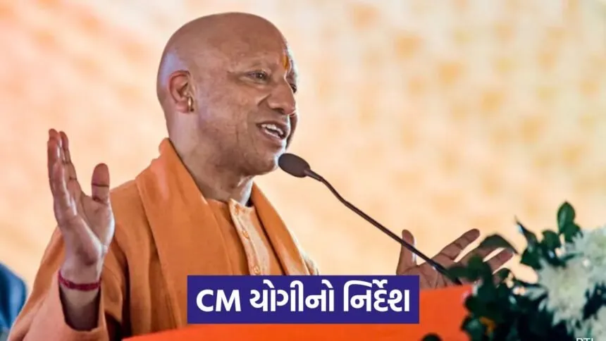 up yogi