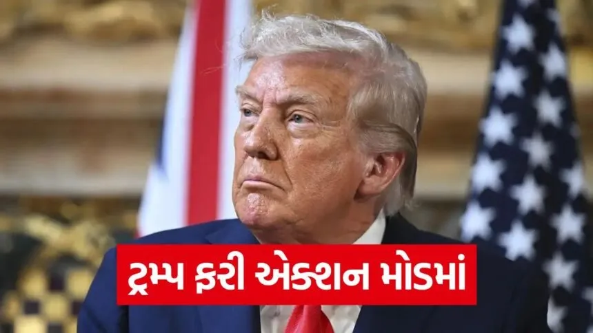 trump 5